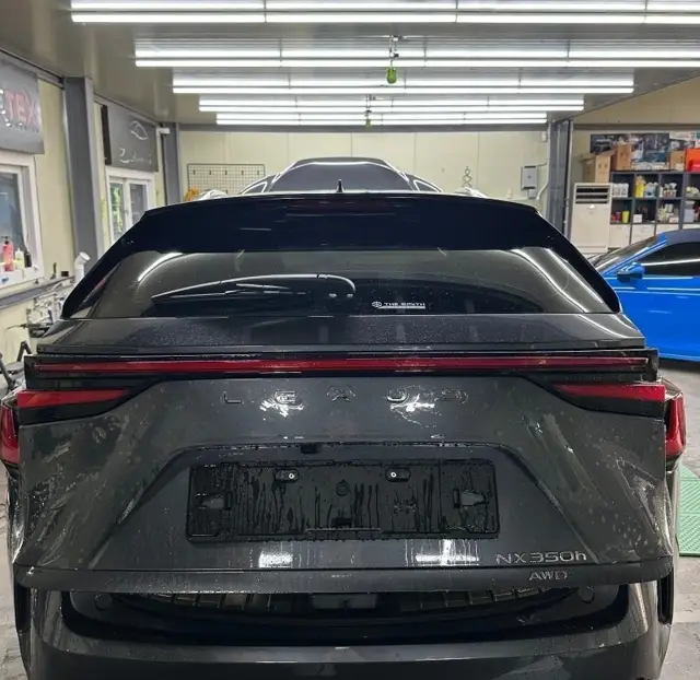 렉서스 NX 350h 전체 PPF 시공 사진 6